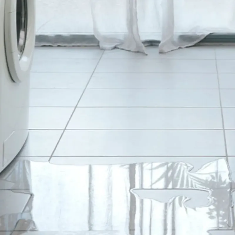 Appliance Leak Cleanup in Litchfield, MN
