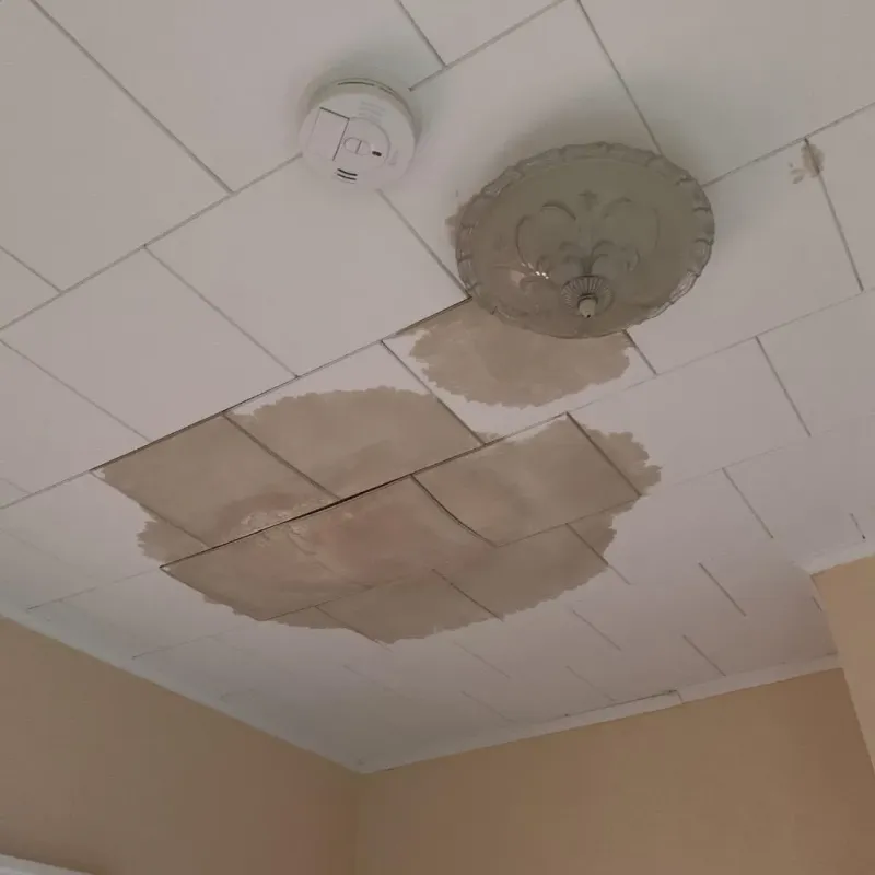 Ceiling Water Damage Repair in Litchfield, MN